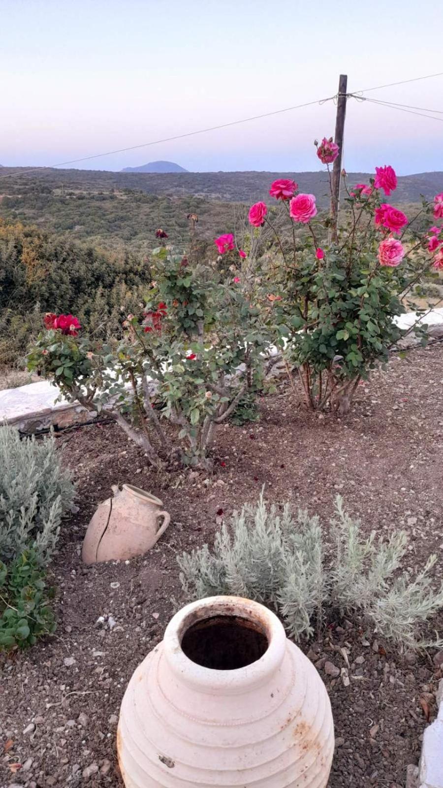 Kýthira Tsipouras Houseヴィラ エクステリア 写真